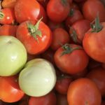Red and Green Tomatoes
