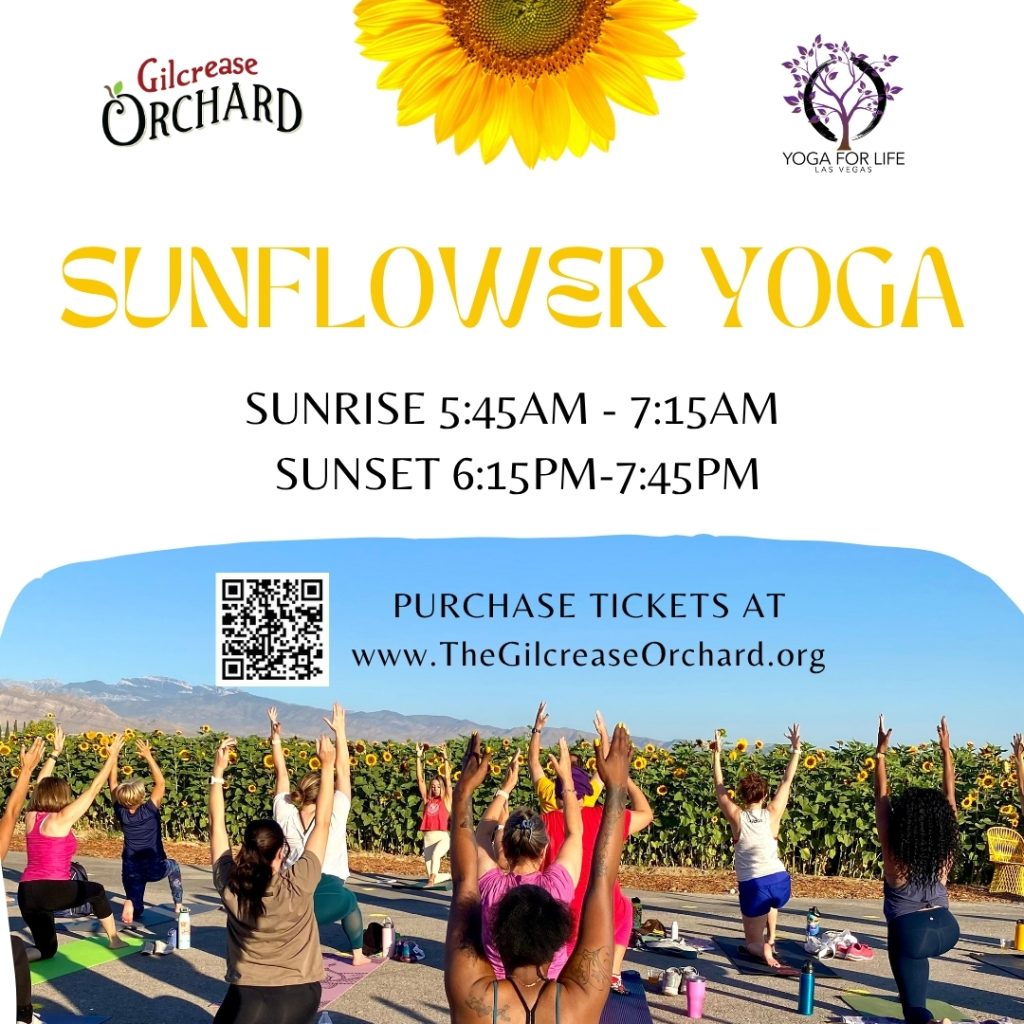 Sunflower Yoga