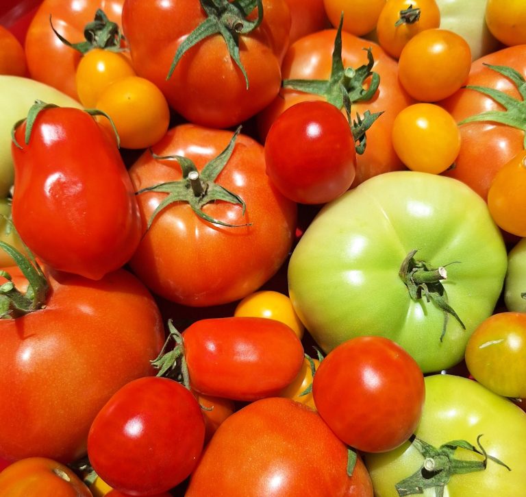 Tomatoes