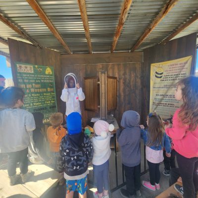 Presenter showing beehive suit to students.