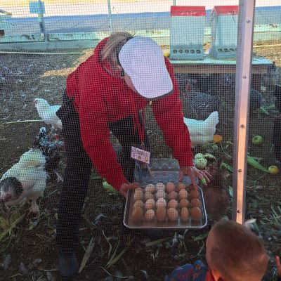 Educator showing students chicken eggs of different colors.