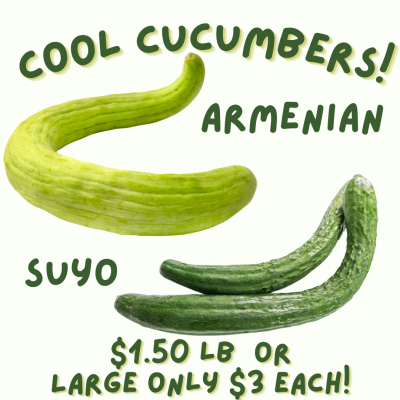 Cucumbers $1.50lb Large only $3 each!