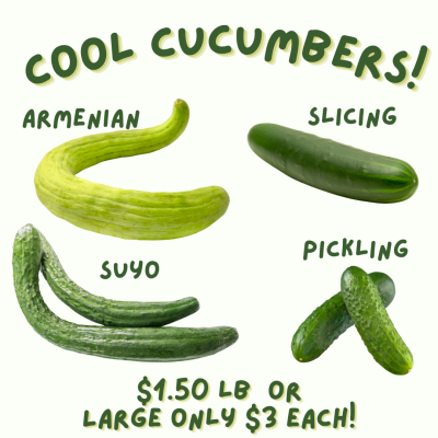 Cucumbers $1.50lb Large only $3 each!