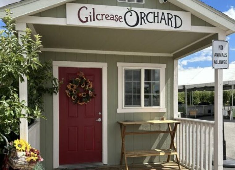 Welcome Shed Welcome Shed