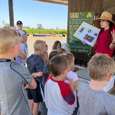 Presenter talking about bees at beehive exhibit.