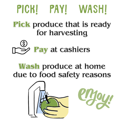 Pick Pay Wash