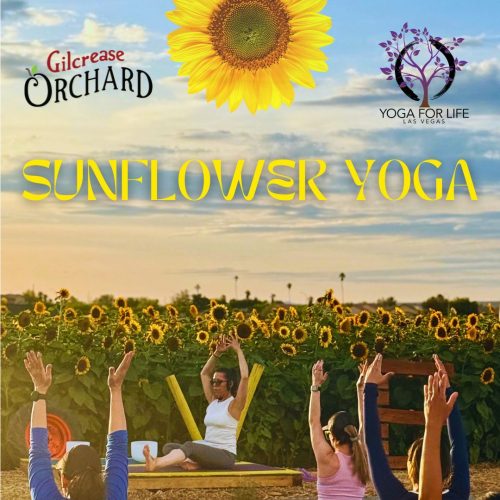 Sunflower Yoga