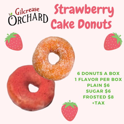 Strawberry Cake Donuts