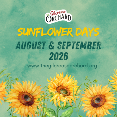 Sunflower Days Click Here for Tickets