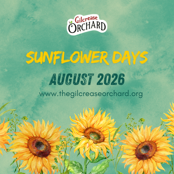 Sunflower Days Click Here for Tickets