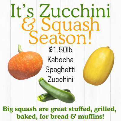 Zucchini, Spaghetti, and Kabocha Squash $1.50lb